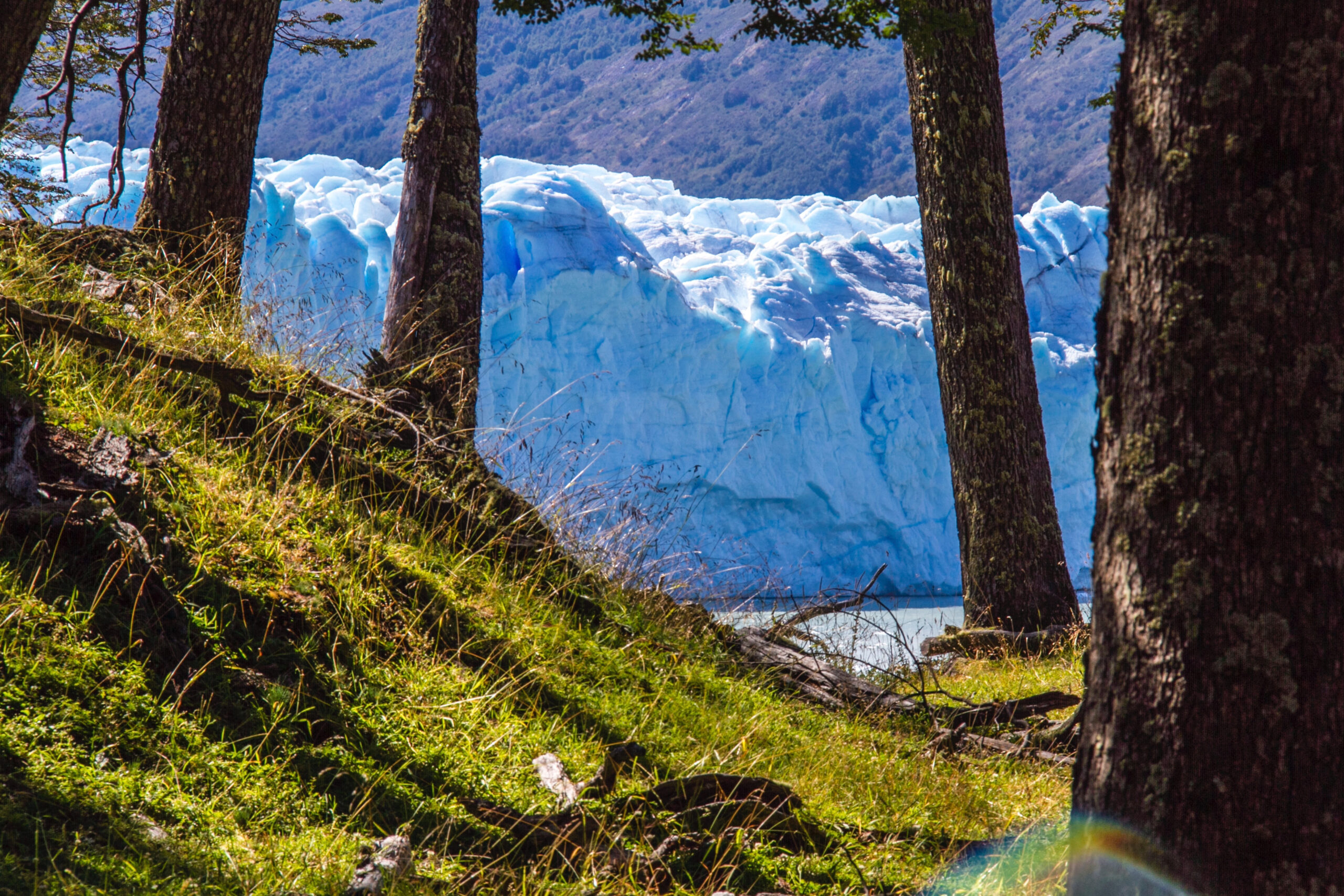 Patagonia Transfers El Calafate Perito Moreno Glacier